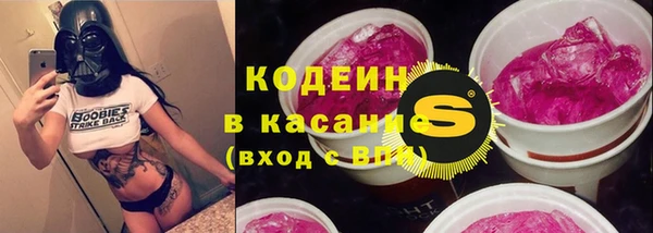 ешки Дмитриев