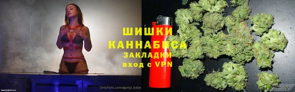 ешки Дмитриев