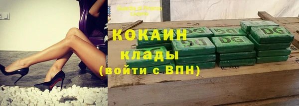 ешки Дмитриев