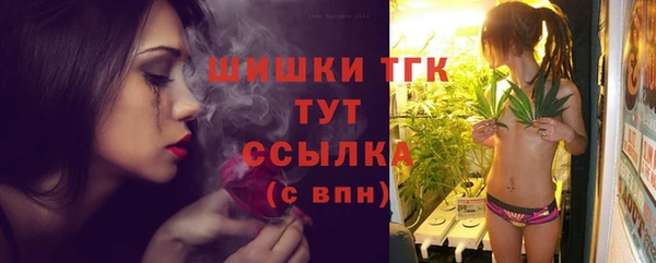 ешки Дмитриев