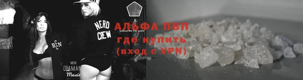ешки Дмитриев