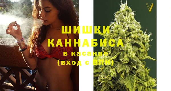 ешки Дмитриев