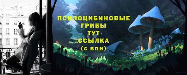 амф Дмитровск
