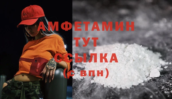амф Дмитровск