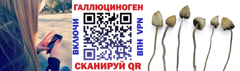 Купить где  Кореновск  Галлюциногенные грибы ЛСД 