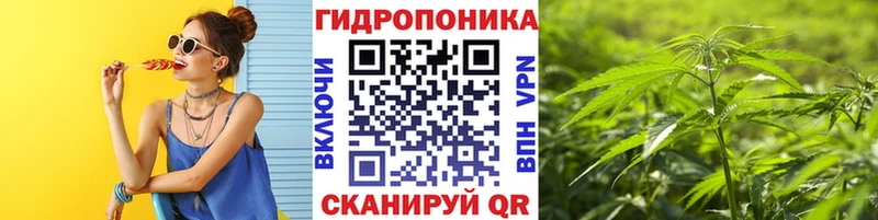 Купить  Кореновск  Шишки марихуана SATIVA & INDICA 
